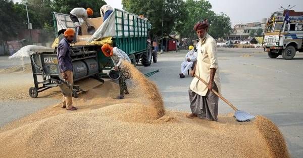 India wheat export : रूस-यूक्रेन युद्ध के बीच भारत से मार्च-अप्रैल में 650 मिलियन US डॉलर का गेहूं निर्यात