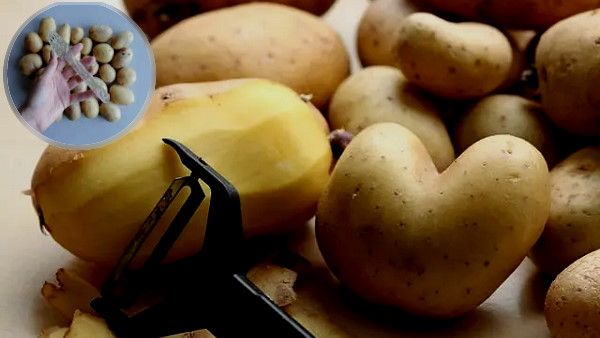 अब आलू से प्लास्टिक बनेगा? यहां ऐसी फैक्ट्री लगवाएगी गुजरात सरकार, शुरू हो गया काम