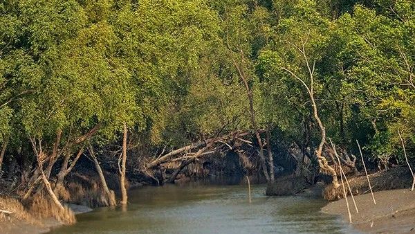 दीवानगी ऐसी की बाघ से भरे जंगल, मगरमच्छ से भरी नदी पार कर प्रेमी से मिलने भारत पहुंची लड़की