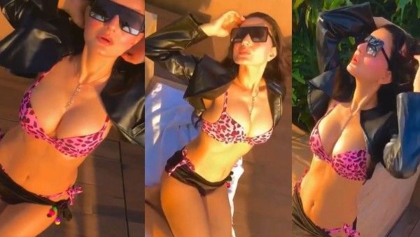 एनिमल प्रिंटेड बिकिनी में अमीषा पटेल ने क्लिक की ऐसी फोटो, लोगों ने कहा- जल्दी राज कुंद्रा को बुला लो....