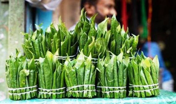 Betel Leaf Benefits : पान खाने से सेहतमंद बनेंगे आप, जानिए किन बीमारियों से मिलती है निजात
