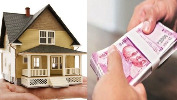 बढ़िया स्कीम: एक महीने के लिए घर में 100 कॉकरोच रखने पर मिलेंगे 1.5 लाख, लेकिन ये शर्तें माननी जरूरी