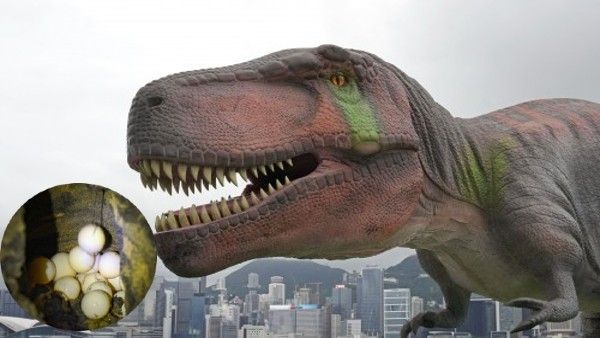 इतिहास में पहली बार हुई ऐसी खोज! मध्य प्रदेश में मिला डायनासोर का दुर्लभ 'अंडे में अंडा'