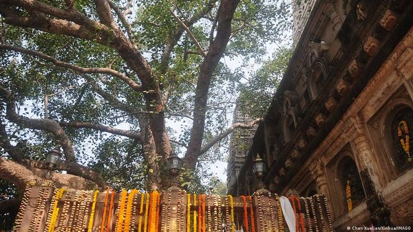 भारत ने भगवान बुद्ध के अवशेष भेजे मंगोलिया