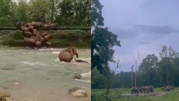 Video: बच्चे को डूबते देख ढाल बनकर खड़ी हो गई 'मां', तेज बहाव के बीच दिखी गजब की पावर
