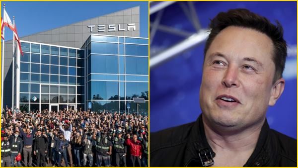 टेस्ला के कर्मचारियों को एलन मस्क का अल्टीमेटम, 'ऑफिस लौटें या...'