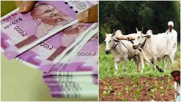 Monsoon : बारिश का पानी बहने से रोकें किसान भाई, फसल से होगी बंपर कमाई, जानिए तरीका