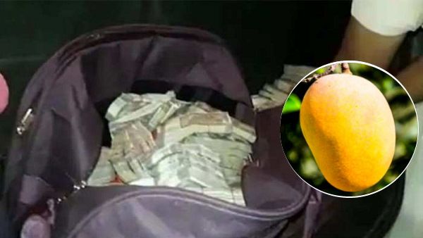 रेहड़ी पर ₹3.40 लाख से भरा थैला भूला व्यापारी‌, आम समझकर ले गया बुजुर्ग, फिर खुद लौटाया