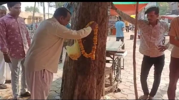पेड़ से निकली जलधारा, लोगों ने शुरू कर दी पूजा