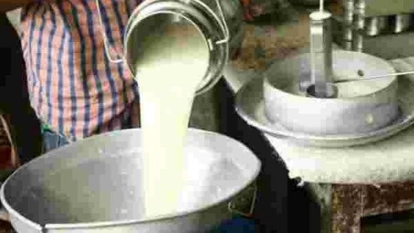 MP News: जबलपुर समेत पूरे एमपी में दूध कारोबार में मनमानी, बिना एनओसी-लाइसेंस धंधे को लेकर CCPA में याचिका