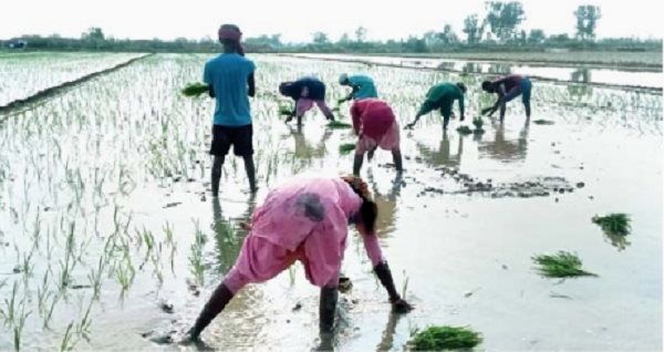 रीवा संभाग के चारों जिलों में 29 से 66% कम हुई वर्षा, इस दिन से होगी झमाझम बारिश