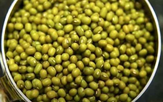 मालामाल कर देगी मूंग की फसल, अभी है रोपाई का टाइम, किसान सीखें खेती का तरीका