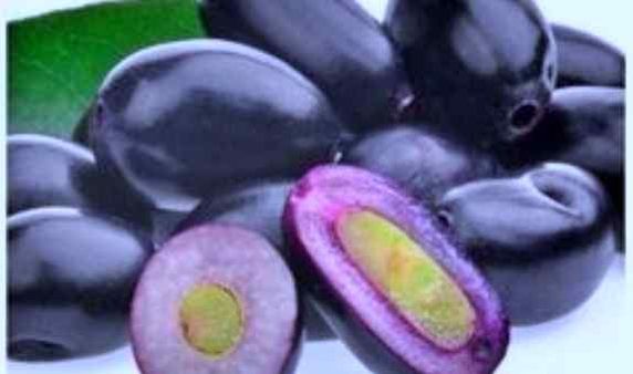 जामुन के सेवन से डायबिटीज और कैंसर जैसी बीमारियों से बचाव, जानिए सेहत को होने वाले 10 फायदे