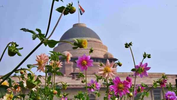 President Election : हजारों ख्वाहिशें ऐसी...., कुल 115 लोगों ने भरा पर्चा, मुकाबला यशवंत vs द्रौपदी