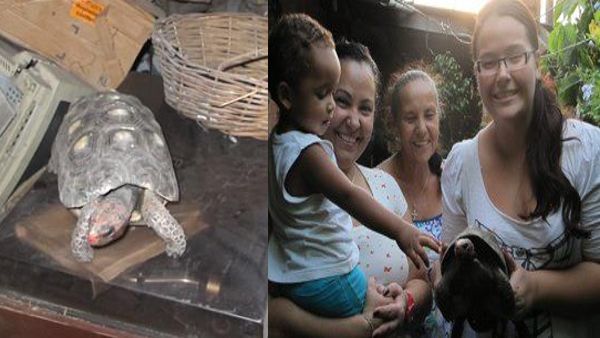 चमत्कार! 30 साल से घर के अंदर जिंदा था परिवार का गुम हुआ कछुआ, पूरा घर ढूंढा लेकिन नहीं मिला, अब ऐसे मिला