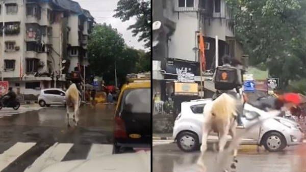 वायरल हुआ Swiggy डिलीवरी ब्वॉय तो कंपनी लगी खोजने, कहा- पता बता दो हम इनाम देंगे