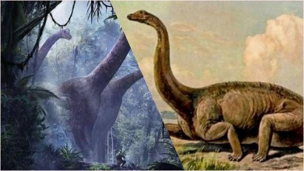 चीन में रेस्टोरेंट के भीतर मिले डायनासोर के पैरों के निशान, 10 करोड़ साल पहले इनसे कांपती थी दुनिया