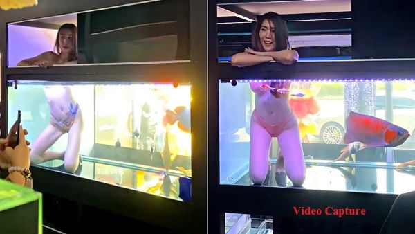 सेल बढ़ाने के लिए दुकानदार ने निकाला जुगाड़, टब में मछलियों के साथ बिठा दी बिकिनी मॉडल