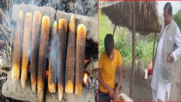 Viral Video: 15 रुपए का एक भुट्टा, कीमत सुनकर केन्द्रीय मंत्री कुलस्ते को नजर आई महंगाई