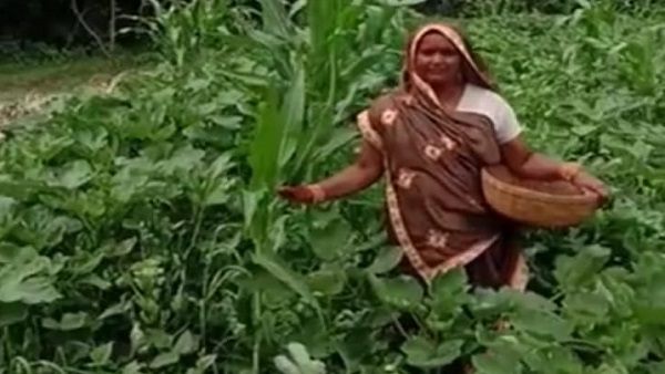 MP: कौन हैं सड़क पर सब्‍जी बेचने वाली “सीता”, जो व‍िधायक की बहन को हराकर पार्षद बनी हैं, पढ़ि‍ए खबर