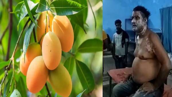 पेड़ से फल तोड़ने की थी मनाही, गलती से तोड़ लिया आम, युवक को मिला ज़िंदगी भर का दर्द