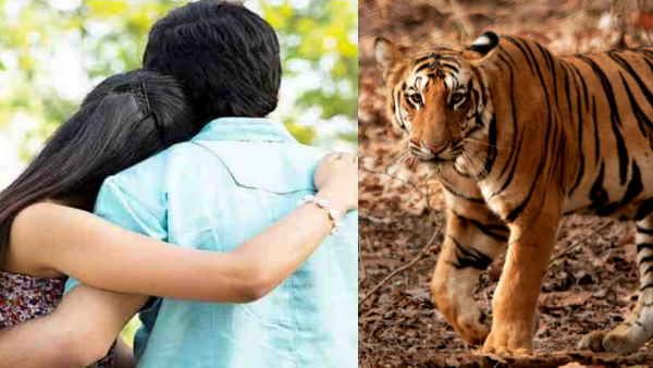 Bahraich: बॉयफ्रेंड के साथ भाग गई लड़की और बदनाम हो गया Tiger, जानिए क्या है पूरा मामला