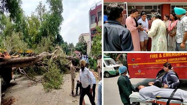 चंडीगढ़: स्कूल में विशाल पेड़ अचानक उखड़कर विद्यार्थियों पर गिरा, 1 की मौत, 20 घायल
