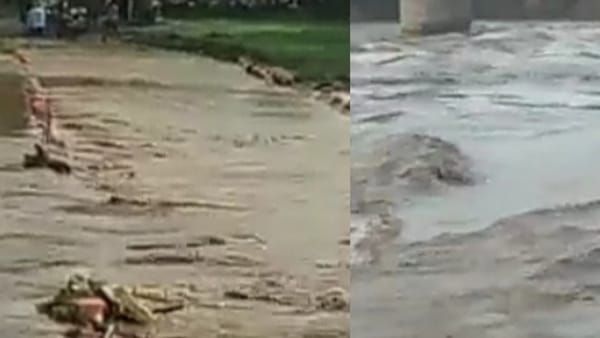 देवास: भारी बारिश के चलते कालीसिंध नदी उफान पर, हाटपीपल्या टप्पा मार्ग 4 घंटे रहा बंद