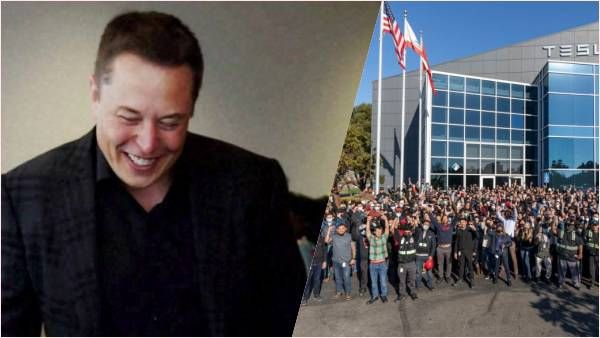 Elon Musk को किस तरह का कर्मचारी चाहिए? जानकर आप कहेंगे, नहीं बनना है बंधुआ मजदूर!