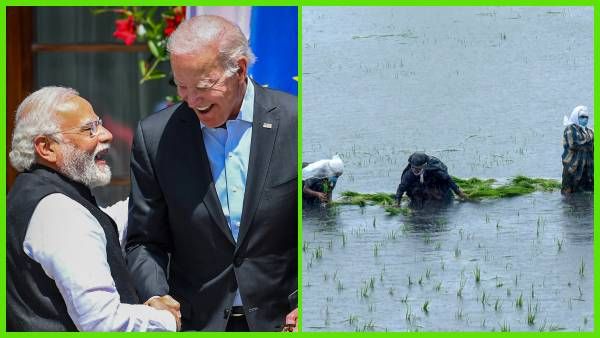 भारतीय किसानों की सब्सिडी के खिलाफ अमेरिकी सांसद, बाइडेन से कहा, WTO में बातचीत करें