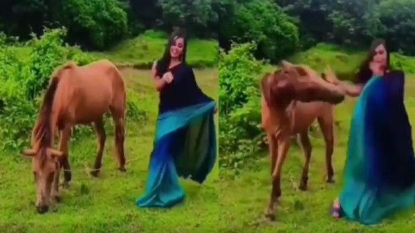 'सच में मार ही डाला', माधुरी के गाने पर साड़ी पहन लड़की कर रही थी डांस, घोड़े ने लात उठाई और...देखें Video