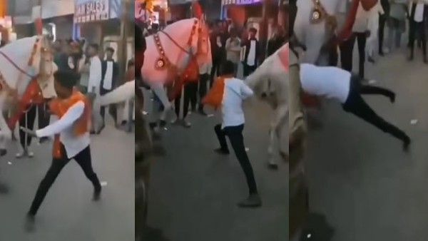 बारात में अजीबोगरीब डांस कर रहा था शख्स, घोड़े ने मारी ऐसी लात कि औंधे मुंह गिरा, देखें Video