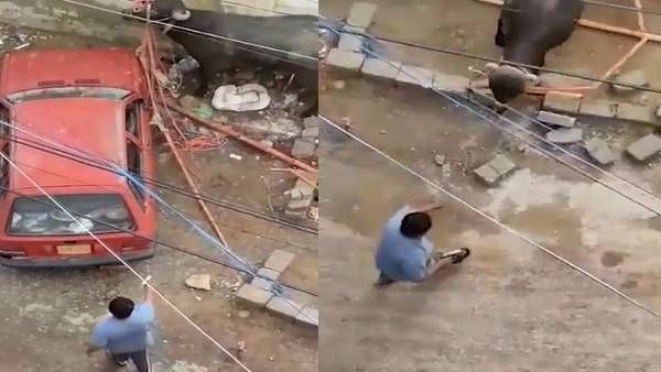 Eid ul Adha पर सांड का बदला, पिस्टल से गोली मारने वाले शख्स को इस तरह सिखाया सबक, देखें Video