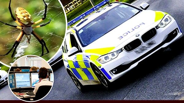 'तुम मेरी आखिरी उम्मीद हो, प्लीज मेरी हेल्प करो', घर में मकड़ी से परेशान महिला ने किया पुलिस को कॉल, फिर...