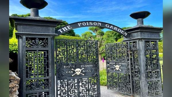 दुनिया का सबसे जहरीला बगीचा, यहां सांस लेना भी मौत को दावत देने जैसा, अकेले जाने की मनाही