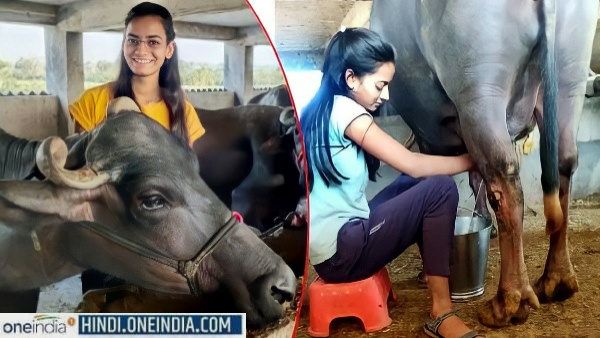 Shraddha Dhawan : वो छात्रा जो भैंस का दूध बेचकर कमा रही ₹ 72 लाख, 23 वर्षीय लड़की की सक्सेस स्टोरी