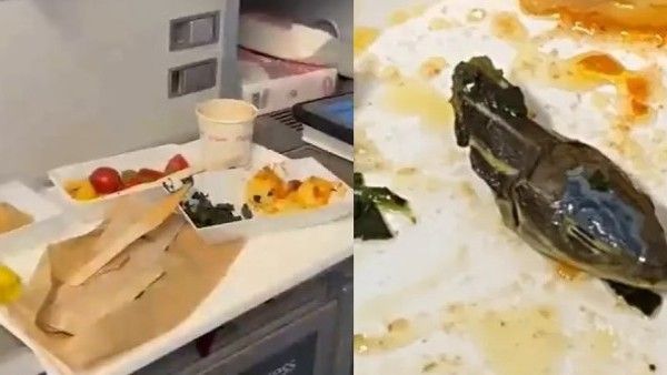 फ्लाइट के अंदर खाने में मिला सांप का सिर, आलू की सब्जी के बीच में फंसी थी मुंडी, देखें Video