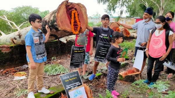 पेड़ों के काटने पर कहां और क्यों दी जा रही श्रद्धांजलि, जानिए पूरा मसला