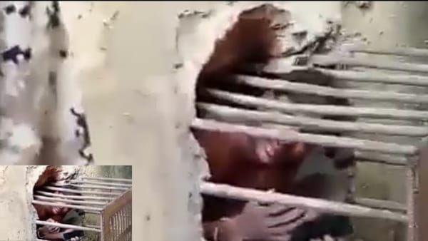 MP: चोरी करना पड़ा महंगा, पिंजरे में फंसा चोर, एसी के होल से निकलने की करता रहा कोशिश
