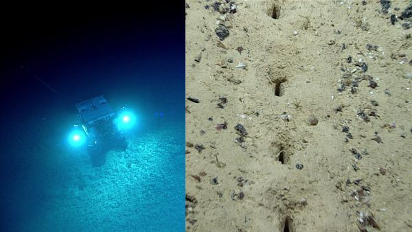 अटलांटिक महासागर में 3KM नीचे मिले रहस्यमय दर्जनों 'दरवाजे', क्या दूसरी दुनिया आने-जाने का है रास्ता?