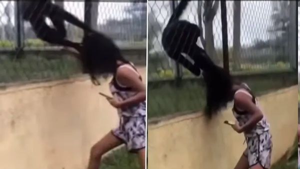 चिड़ियाघर में बच्‍ची का बंदरों ने किया ये हाल, वीडियो में देखें उसने क्‍या की थी गलती