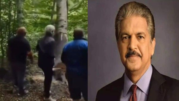 3 लोगों ने मिलकर काटा विशाल पेड़, फिर गिरते हुए वृक्ष ने ऐसे लिया बदला, आनंद महिंद्रा ने शेयर किया Video