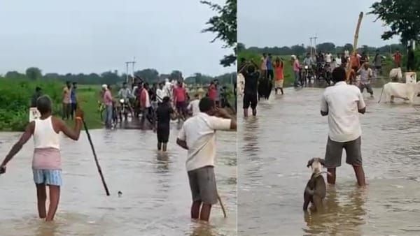 MP: पशु क्रूरता के खिलाफ सतना पुलिस की बड़ी कार्रवाई, पांच नामजद आरोपी गिरफ्तार