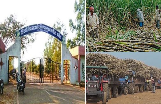 बालोद: गन्ना उत्पादन से किसानो का मोह हुआ भंग, अंतर राशि की मांग को लेकर आन्दोलन की तैयारी