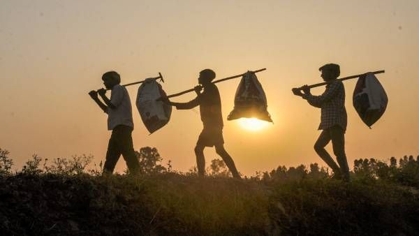 वैश्विक युवा बेरोजगारी घट जाएगी, संयुक्त राष्ट्र ने बताया 2022 में क्या होगा