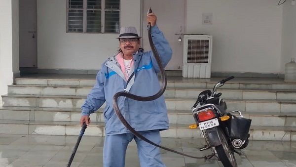 MP: डीआईजी ऑफिस में घुसा घोड़ा पछाड़ सांप, अकील बाबा के शिकंजे में आते ही फड़फड़ाने लगा