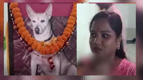 Korba: नहीं रहा डॉगी भैया, रक्षाबंधन पर था सूनापन, परिवार ने करवाया मुंडन