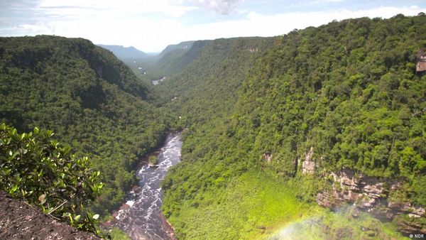 सबसे तेजी से बढ़ रहा है भारतीय मूल के लोगों का देश