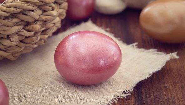 50 हजार रुपए में बिक रहा है मुर्गी का ये एक अंडा, जानें क्यों है इतना महंगा