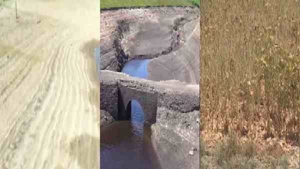 इंग्लैंड में सूखे की घोषणा, 87 साल बाद भीषण अकाल जैसे हालात, लंदन में पानी के लिए हाहाकार